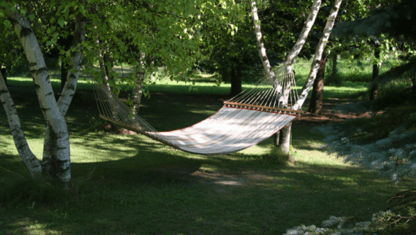 projektowanie ogrodów